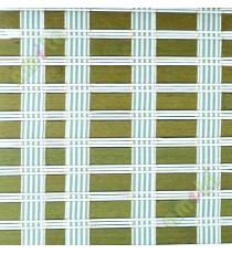 Rollup  mechanism green white colour fabric stripes pure natural bamboo blind